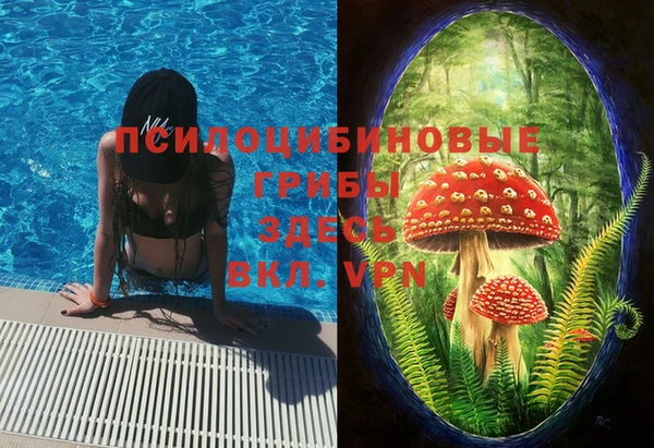 бутират Алексин