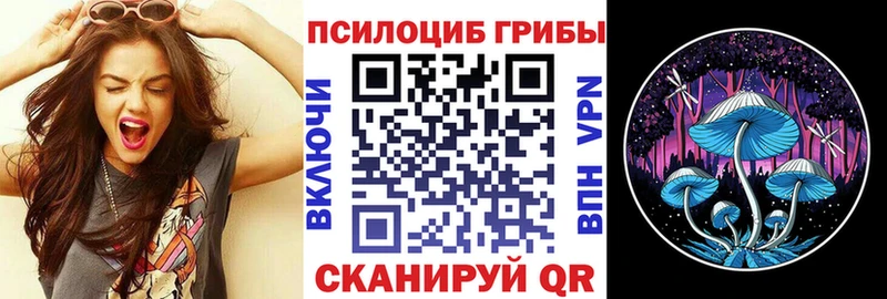 закладки  ссылка на мегу ССЫЛКА  Галлюциногенные грибы Psilocybe  Людиново 