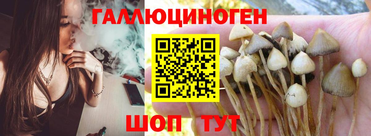 Галлюциногенные грибы мицелий  Галлюциногенные грибы Psilocybine cubensis  Людиново  Вход с VPN 